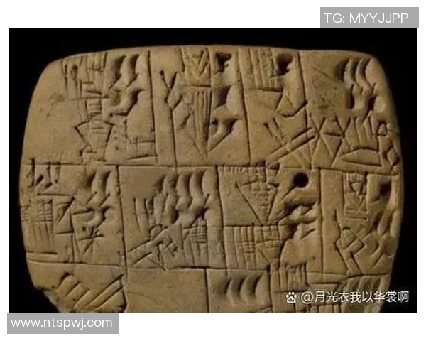 郑姓足球明星的辉煌历程与成就解析