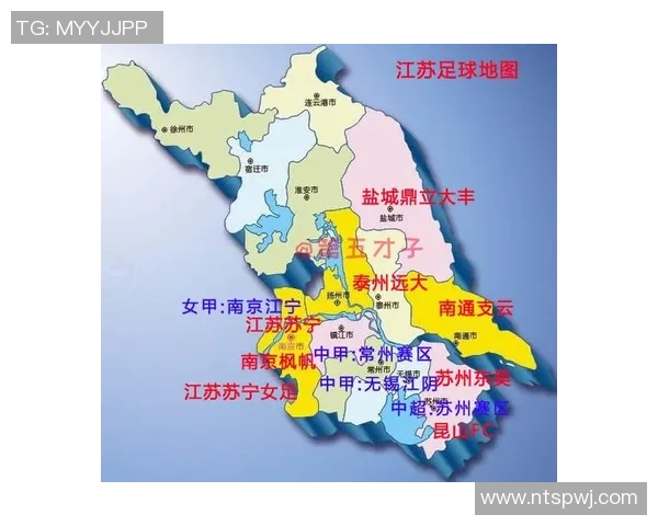 衡阳足球明星的崛起与发展历程探秘