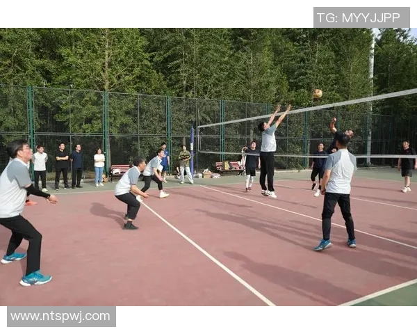 成都排球队在全国排球灵活性排行榜中荣获第八名的佳绩引发关注