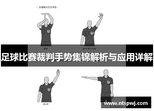 足球比赛裁判手势集锦解析与应用详解