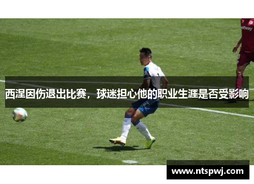 西涅因伤退出比赛，球迷担心他的职业生涯是否受影响